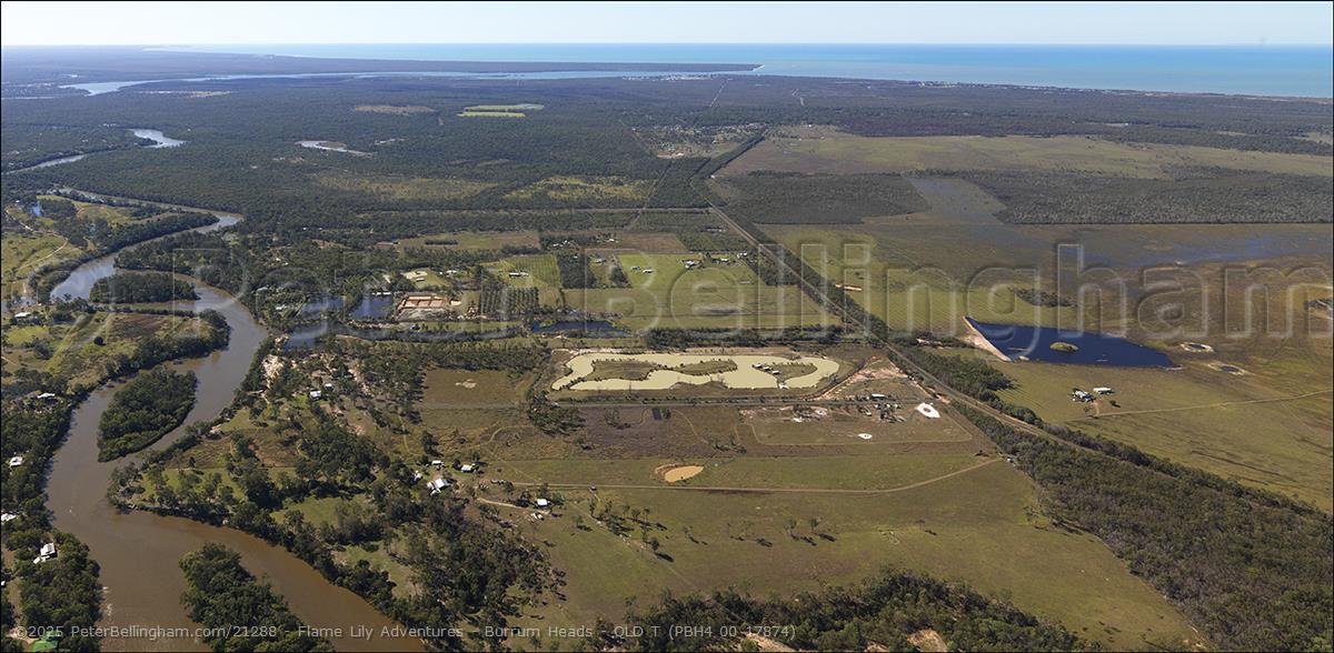 Peter Bellingham Photography Flame Lily Adventures - Burrum Heads - QLD T (PBH4 00 17874)